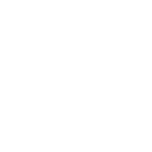 Nacomi_Logo