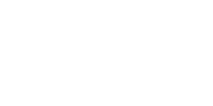 avia_300x150_1x