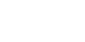 mi_store_300x150