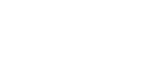 modivo_300x150_1x